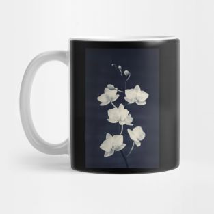 Orchid Study #2 Mug